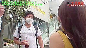 0005902_バック ミニ系 低身長などが含まれている