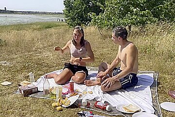 A British Posh Picnic