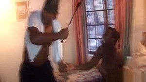 African chick loves being handled roughly