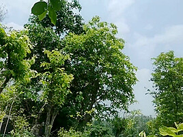 An Unknown Boy Is Sitting In A Dense Forest And A Boy Comes Towards Him