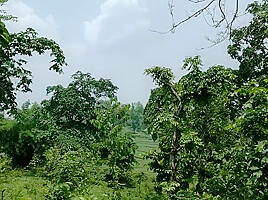 An Unknown Boy Is Sitting In A Dense Forest And A Boy Comes Towards Him