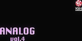 Analog vol 4: Hermaphrodite