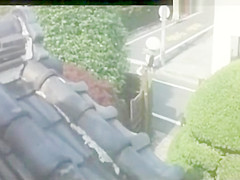 Asahina Junko ?™?Pleasure in the mirror?™? JPN Vintage Full Movie