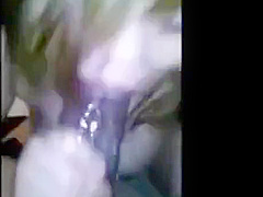 Asian Girl Giving Head