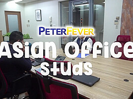 Asian Office Studs