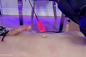 Ballbusting Compilation