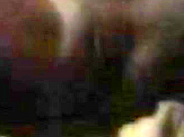 Bangladesh pon video fo laile