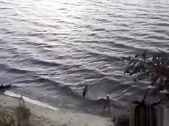 Beach Sex 06