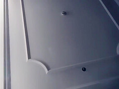 Beauty Of The Little Loris Angle Is Professional