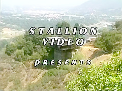 Bi Analist - Scene 1