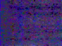 Bi and Beyond 2