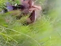 Caught Fucking In The Bush