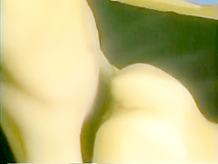 Classic Vintage Retro Video 1026082