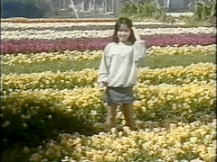 Classic Vintage Retro Video 1042435