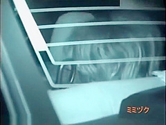 Couples enjoy car sex