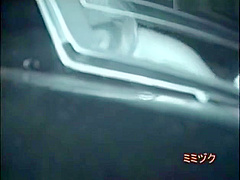 Couples enjoy car sex
