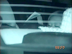 Couples enjoy car sex