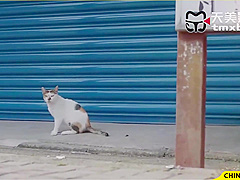 Crazy Xxx Clip Big Tits Crazy , Watch It