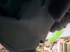 Cutie anal banged from behind outdoor