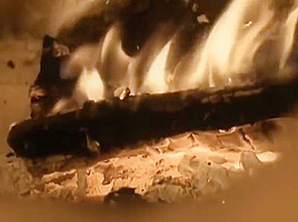 Exotic Beauty By The Indian Fireplace