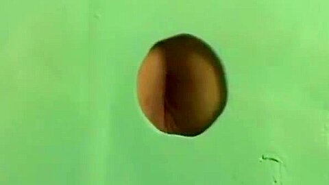 Gloryhole sexy newbies banging through that special hole