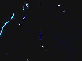 Gloss