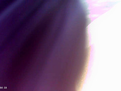 Greene girl public sublim i love you girl