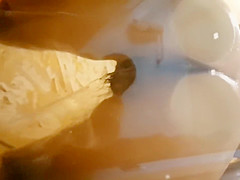 HOT ASS on GLASS in the YACHT