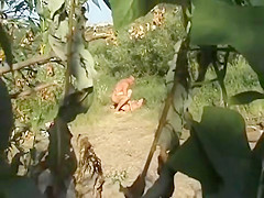 Horny babe and her lover have fun in the grass secret camera