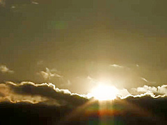 IIPELIIVXXQYGZHOPE42P48NTRD-099
