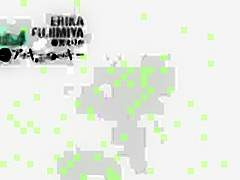 IV - Fujimiya Erika