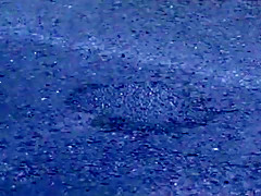 Incredible Japanese whore Minako Uchida, Mio Mikura, Mayu Otsuka in Horny Car, Outdoor JAV scene