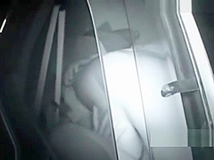 Inside of car at night sexual intercourse