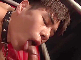 Japanese Cute Guy Auction