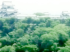 Kunoichi ninpo (Ninja Woman)1996 Japanese Softcore Full Movie