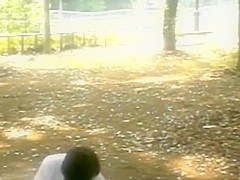 La blue girl of the sex demon king 1995