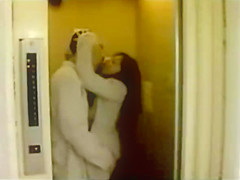 Lewd lovers fuck in the elevator
