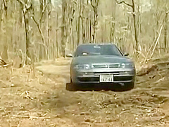 Man rapped Japanese teen 18+ on the truck of his car