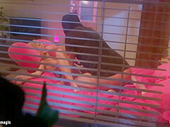 Masked Intruder Fucks Busty student 18+