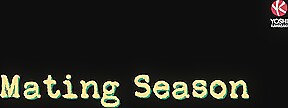 Mating Season