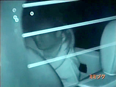 Midnight outdoor couples car sex