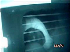 Midnight outdoor couples car sex