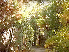 NJAVSTTMSBYBAEKJUZ42P48NTRD-101