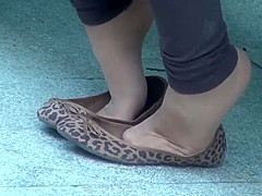 Nylonqueens 422