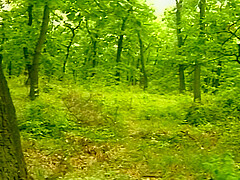 Omas Spezial 1 (scene 7)