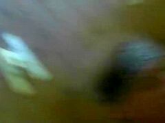 Real Swallow
