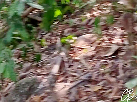 Sex In The Jungle