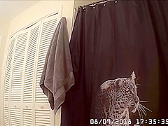 Sexy Cutie in the shower 7