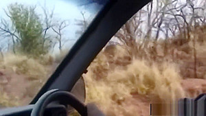 South African dudes get black hooker