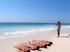 Spring Breakers